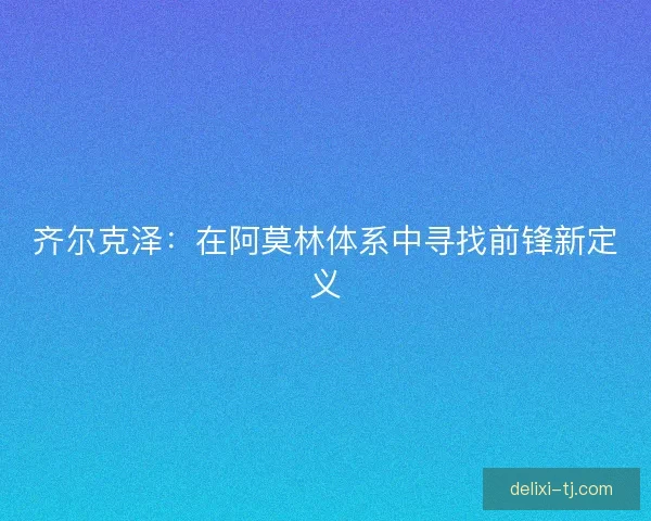 齐尔克泽：在阿莫林体系中寻找前锋新定义